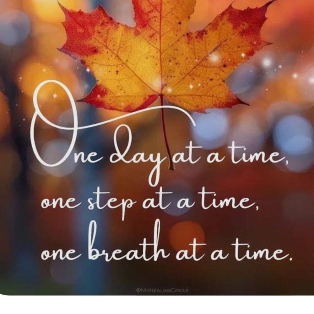 Happy Autumn..🍂